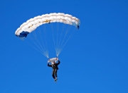 开云足球直播-跨界统治力，从开拓者火力到字母哥的F1赛道，见证新赛季的绝对接管