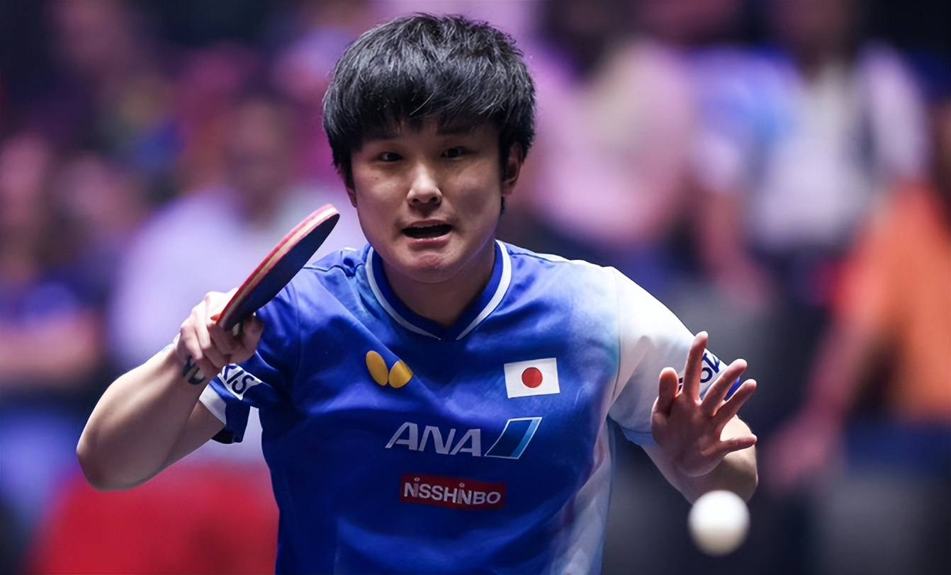 中国乒乓球队绝地反击波兰乒乓球队,张本智和送出助攻的简单介绍 中国乒乓球队绝地反击波兰乒乓球队,张本智和送出助攻的简单介绍