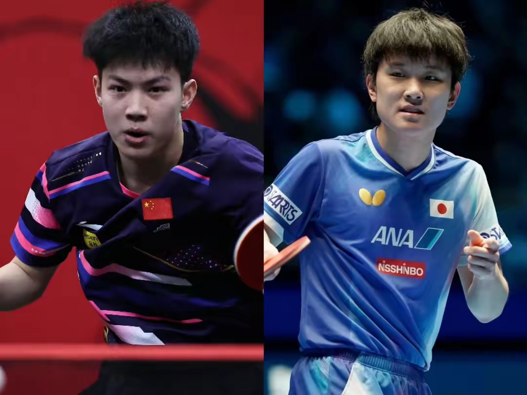 韩国队险胜波兰队，张本智和扛起全队的简单介绍