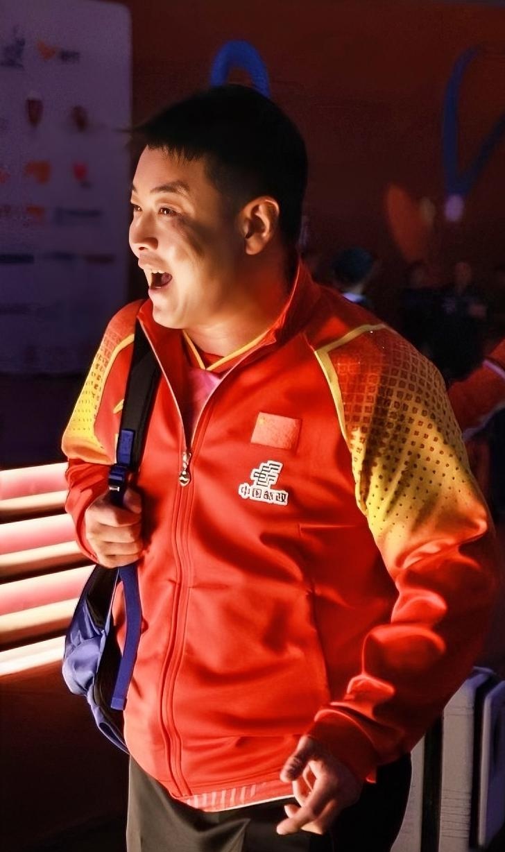 比利时乒乓球队完胜日本乒乓球队，王皓惊艳世界的简单介绍