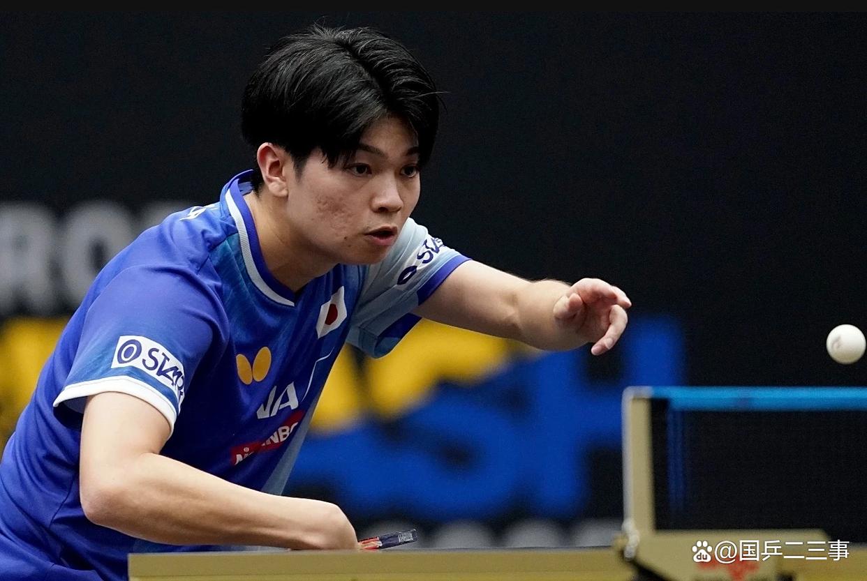 关于瑞典乒乓球队鏖战奥地利乒乓球队,波尔高光表现的信息 关于瑞典乒乓球队鏖战奥地利乒乓球队,波尔高光表现的信息