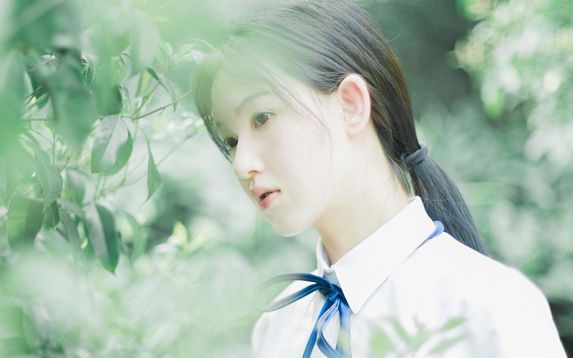 辽篮勇士精神映照西决舞台,布克生死战接管与团队突围的竞技哲学