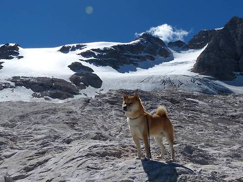 铁壁与利刃，孔德一夫当关，拉齐奥封锁巴萨的艺术