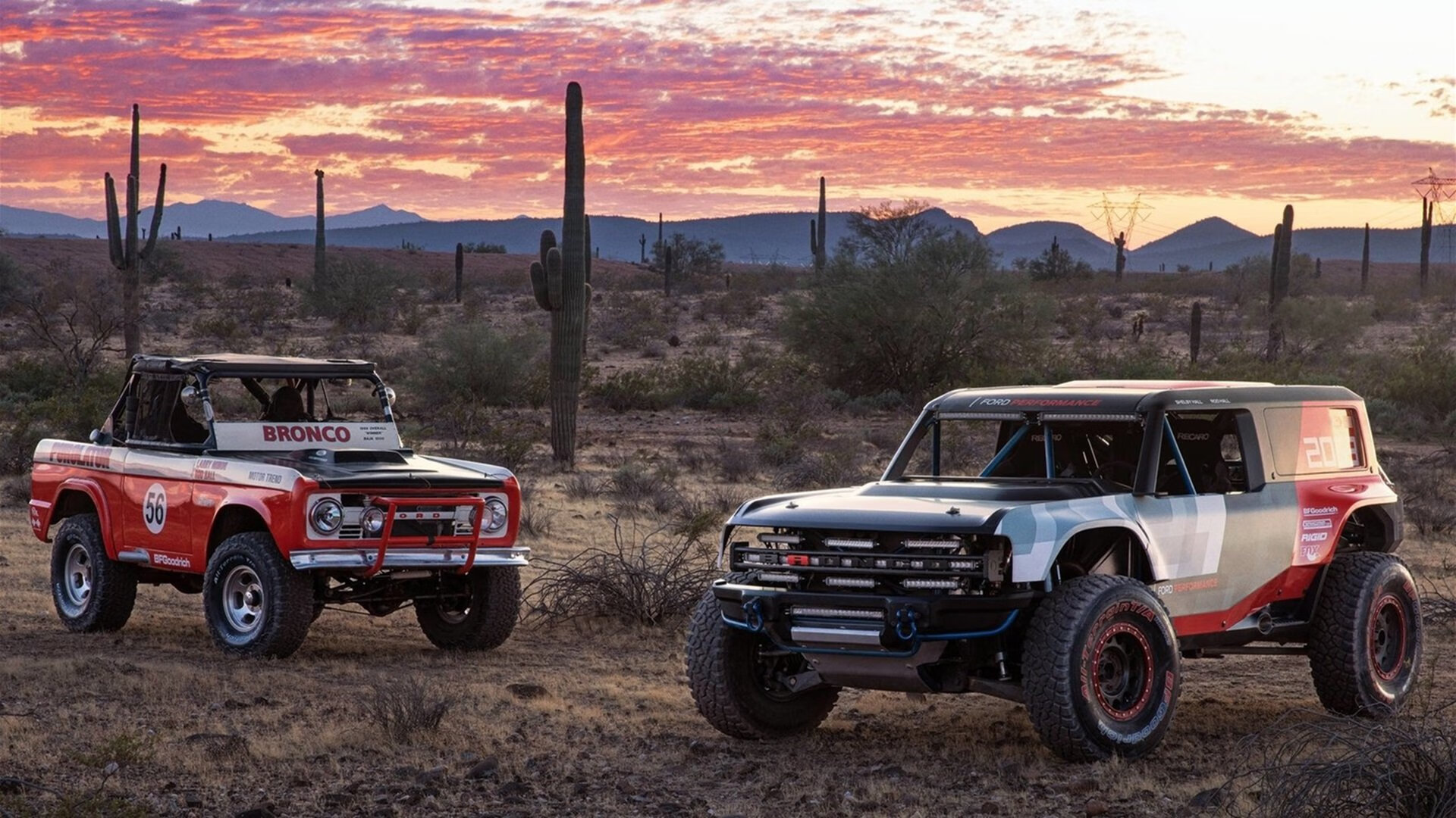 绿茵与硬木的统治力，国际米兰战术洪流冲垮塞内加尔铁壁，帕尔默西决生死战化身关键先生